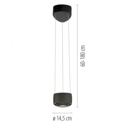 Paul Neuhaus LED Pendelleuchte Q-STRETTO, schwarz, dimmbar, Fernbedienung