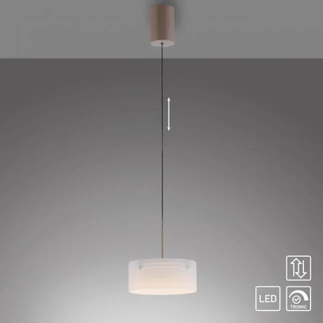 Paul Neuhaus LED Pendelleuchte MARIKA, sand, höhenverstellbar