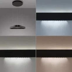 Paul Neuhaus LED Pendelleuchte Q-STRETTO, schwarz,