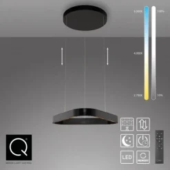 Paul Neuhaus LED Pendelleuchte Q-STRETTO, schwarz,