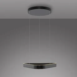Paul Neuhaus LED Pendelleuchte Q-STRETTO, schwarz,