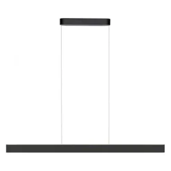 Paul Neuhaus LED Pendelleuchte Q-STRETTO, schwarz,