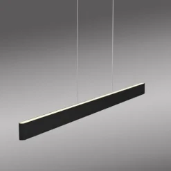 Paul Neuhaus LED Pendelleuchte Q-STRETTO, schwarz,