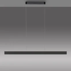 Paul Neuhaus LED Pendelleuchte Q-STRETTO, schwarz,