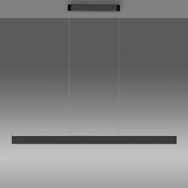 Paul Neuhaus LED Pendelleuchte Q-STRETTO, schwarz,