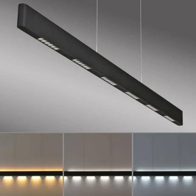 Paul Neuhaus LED Pendelleuchte Q-STRETTO, schwarz,