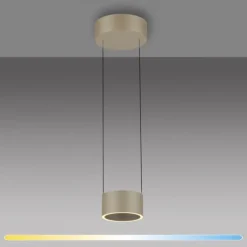 Paul Neuhaus LED Pendelleuchte PURE Clipse, bronce, Fernbedienung, dimmbar