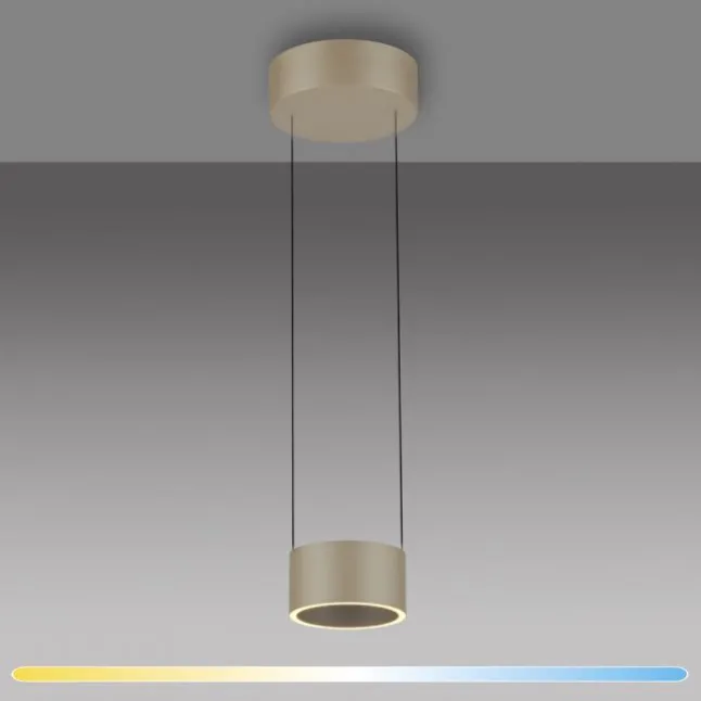 Paul Neuhaus LED Pendelleuchte PURE Clipse, bronce, Fernbedienung, dimmbar