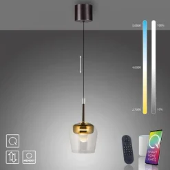 Paul Neuhaus LED Pendelleuchte Q-KON 1-flammig gold Smart Home App