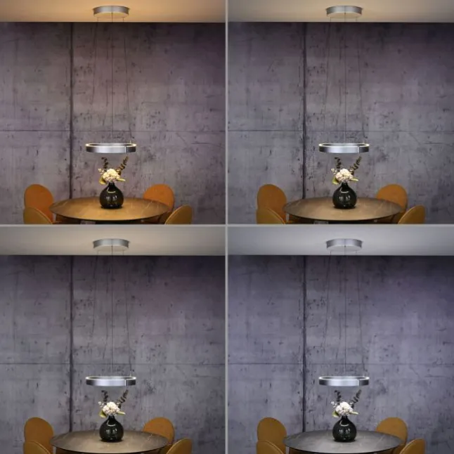Paul Neuhaus LED Pendelleuchte PURE E-Clipse stone (alu) elektrisch