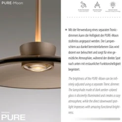 Paul Neuhaus LED Pendelleuchte PURE Moon bronce höhenverstellbar