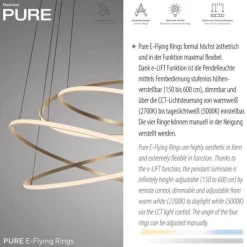 Paul Neuhaus LED Pendelleuchte PURE Flying Rings,bronce