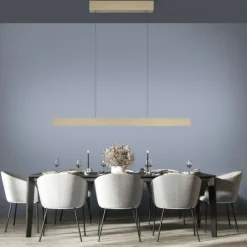 Paul Neuhaus LED Pendelleuchte PURE E-Motion imperial gold elektrisch