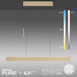 Paul Neuhaus LED Pendelleuchte PURE E-Motion imperial gold elektrisch