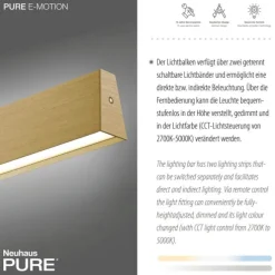Paul Neuhaus LED Pendelleuchte PURE E-Motion imperial gold elektrisch