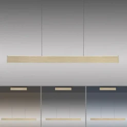 Paul Neuhaus LED Pendelleuchte PURE E-Motion imperial gold elektrisch