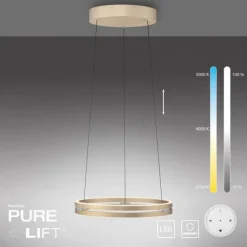 Paul Neuhaus LED Pendelleuchte PURE E-Loop ivory gold elektrisch