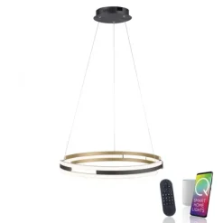 Paul Neuhaus LED Pendelleuchte Q-BELUGA messing matt Smart Home dimmbar