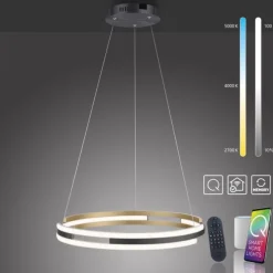 Paul Neuhaus LED Pendelleuchte Q-BELUGA messing matt Smart Home dimmbar