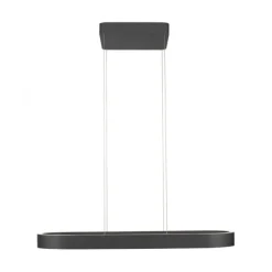 Paul Neuhaus LED Pendelleuchte Q-STRETTO, schwarz, mit Fernbedienung