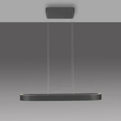Paul Neuhaus LED Pendelleuchte Q-STRETTO, schwarz, mit Fernbedienung