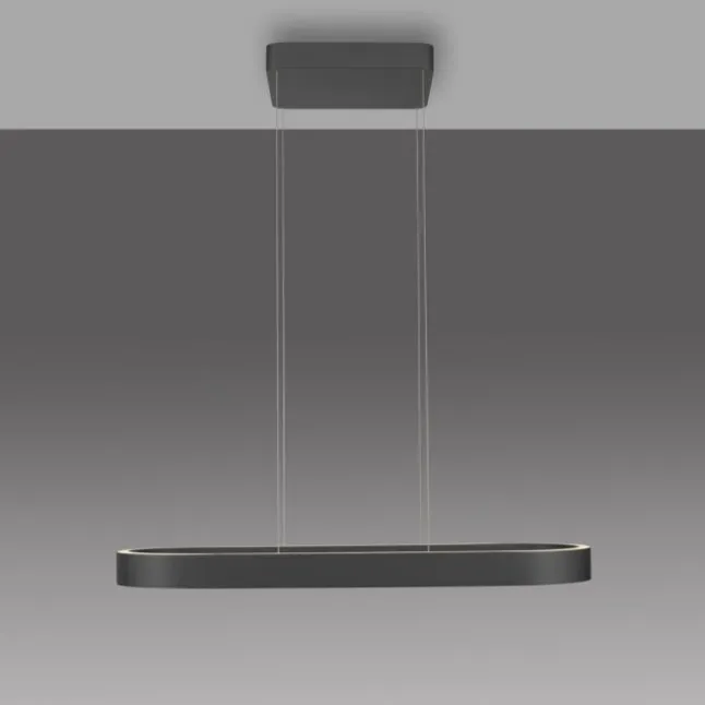 Paul Neuhaus LED Pendelleuchte Q-STRETTO, schwarz, mit Fernbedienung