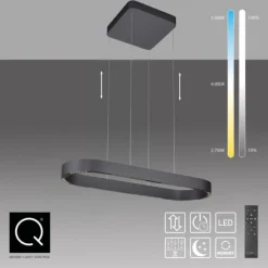 Paul Neuhaus LED Pendelleuchte Q-STRETTO, schwarz, mit Fernbedienung