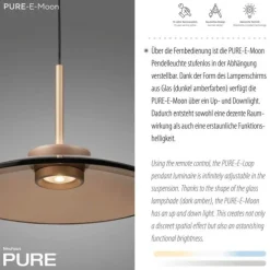 Paul Neuhaus LED Pendelleuchte PURE E-Moon bronce elekrisch