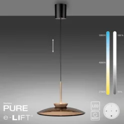 Paul Neuhaus LED Pendelleuchte PURE E-Moon bronce elekrisch