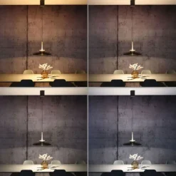 Paul Neuhaus LED Pendelleuchte PURE E-Moon bronce elekrisch