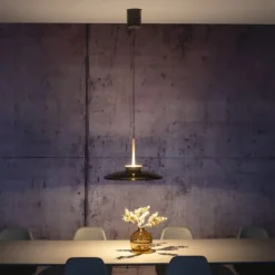 Paul Neuhaus LED Pendelleuchte PURE E-Moon bronce elekrisch