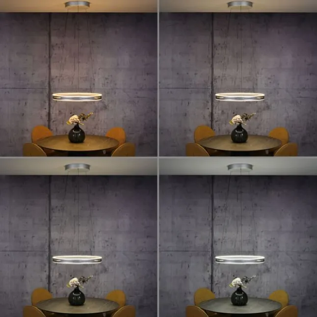 Paul Neuhaus LED Pendelleuchte PURE E-Loop stone (alu) elektrisch