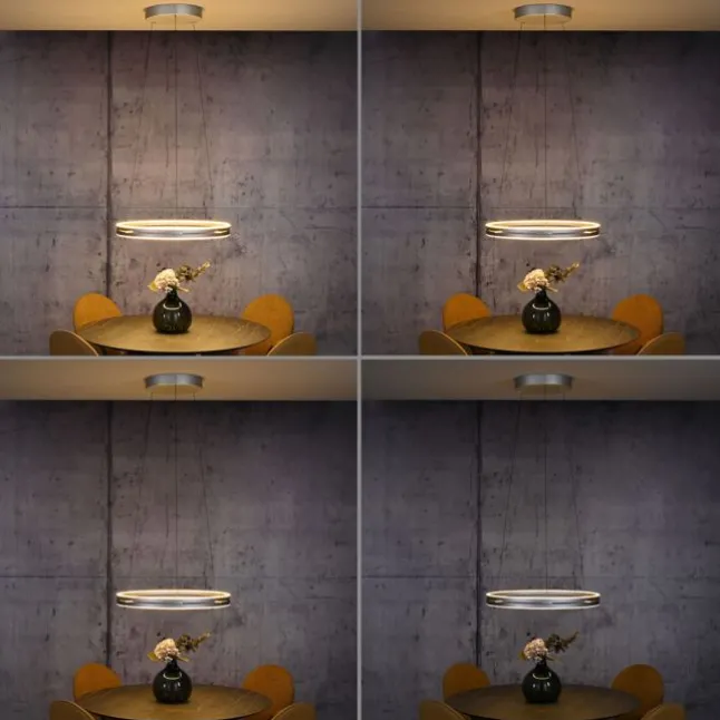 Paul Neuhaus LED Pendelleuchte PURE E-Loop stone (alu) elektrisch