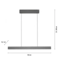 Paul Neuhaus LED Pendelleuchte PURE E-Motion platin (grau) elektrisch