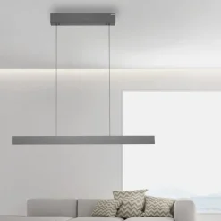Paul Neuhaus LED Pendelleuchte PURE E-Motion platin (grau) elektrisch