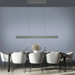 Paul Neuhaus LED Pendelleuchte PURE E-Motion platin (grau) elektrisch