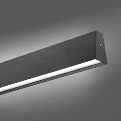 Paul Neuhaus LED Pendelleuchte PURE E-Motion platin (grau) elektrisch