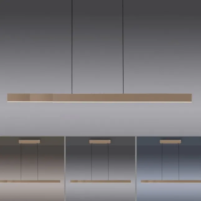 Paul Neuhaus LED Pendelleuchte PURE Moto-Rise, bronce,