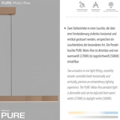 Paul Neuhaus LED Pendelleuchte PURE Moto-Rise, bronce,