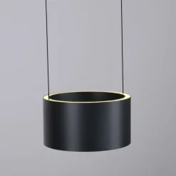 Paul Neuhaus LED Pendelleuchte PURE Clipse, platin (grau), Fernbedienung, Comfort Lift, Memoryfunktion