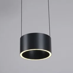 Paul Neuhaus LED Pendelleuchte PURE Clipse, platin (grau), Fernbedienung, Comfort Lift, Memoryfunktion