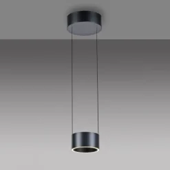 Paul Neuhaus LED Pendelleuchte PURE Clipse, platin (grau), Fernbedienung, Comfort Lift, Memoryfunktion