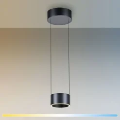 Paul Neuhaus LED Pendelleuchte PURE Clipse, platin (grau), Fernbedienung, Comfort Lift, Memoryfunktion
