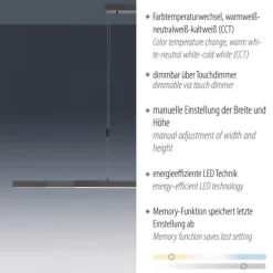 Paul Neuhaus LED Pendelleuchte BACALIA, anthrazit,