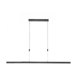 Paul Neuhaus LED Pendelleuchte BACALIA, anthrazit,