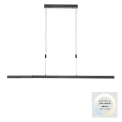 Paul Neuhaus LED Pendelleuchte BACALIA, anthrazit,
