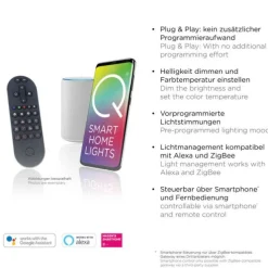 Paul Neuhaus LED Pendelleuchte Q-KON 5-flammig mehrfarbig Smart Home