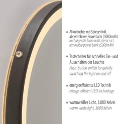 Paul Neuhaus LED Spiegel VIDRO, grau