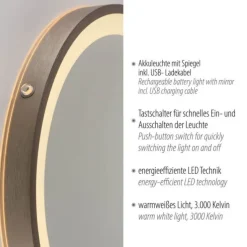 Paul Neuhaus LED Spiegel VIDRO, bronce,
