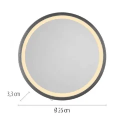 Paul Neuhaus LED Spiegel VIDRO, grau,